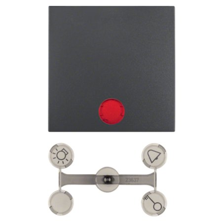Berker 1621 16 06 Wippe Kontroll- ANT B.1/B.3 mit Linsen