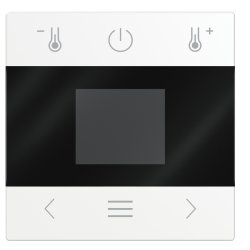 Busch-Jaeger 2CKA006430A0412 accessoire de thermostat Plaque de recouvrement