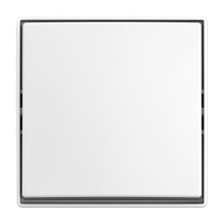 Busch-Jaeger 2601/6 J-524 Blanc