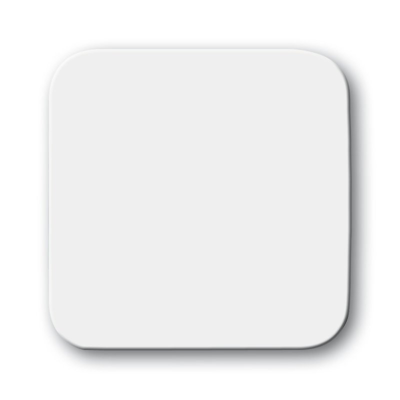 Busch-Jaeger 2506 O-214 White