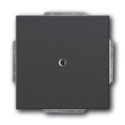 Busch-Jaeger 1710-0-3614 wall plate/switch cover Anthracite