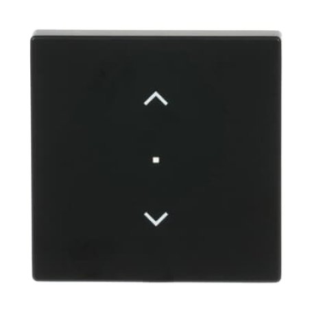 Busch-Jaeger 6232-10-885 Black