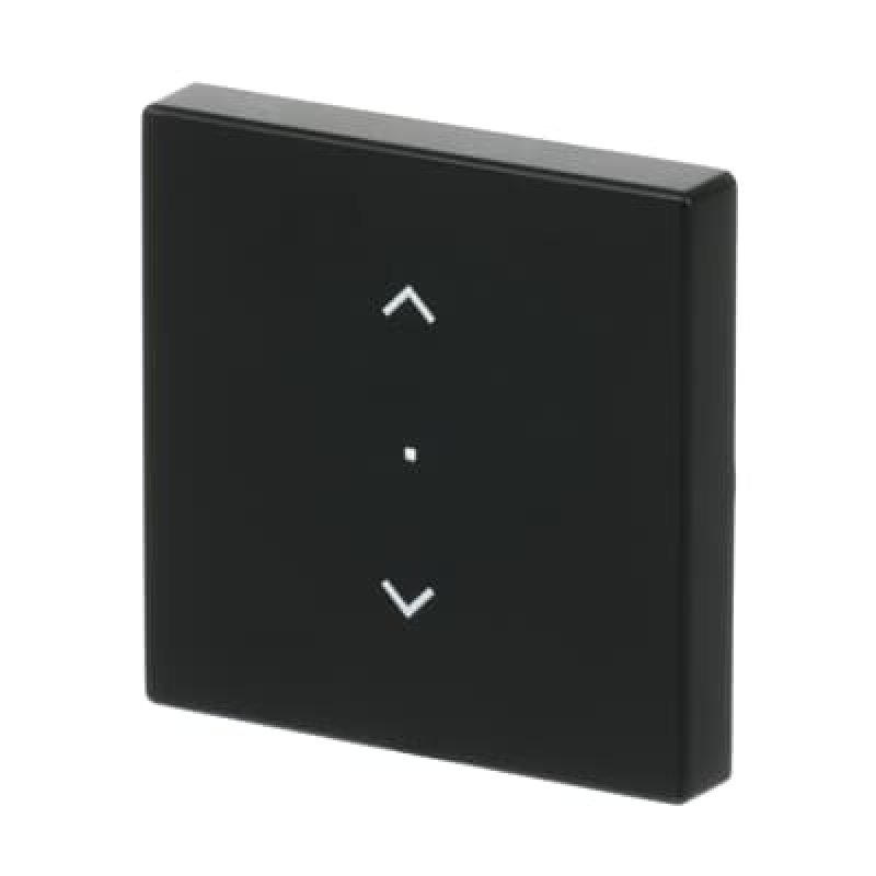 Busch-Jaeger 6232-10-885 Noir