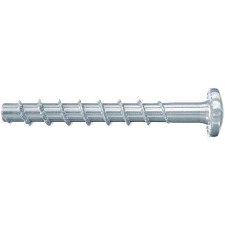 Fischer 546378 screw/bolt 40 mm 100 pc(s)