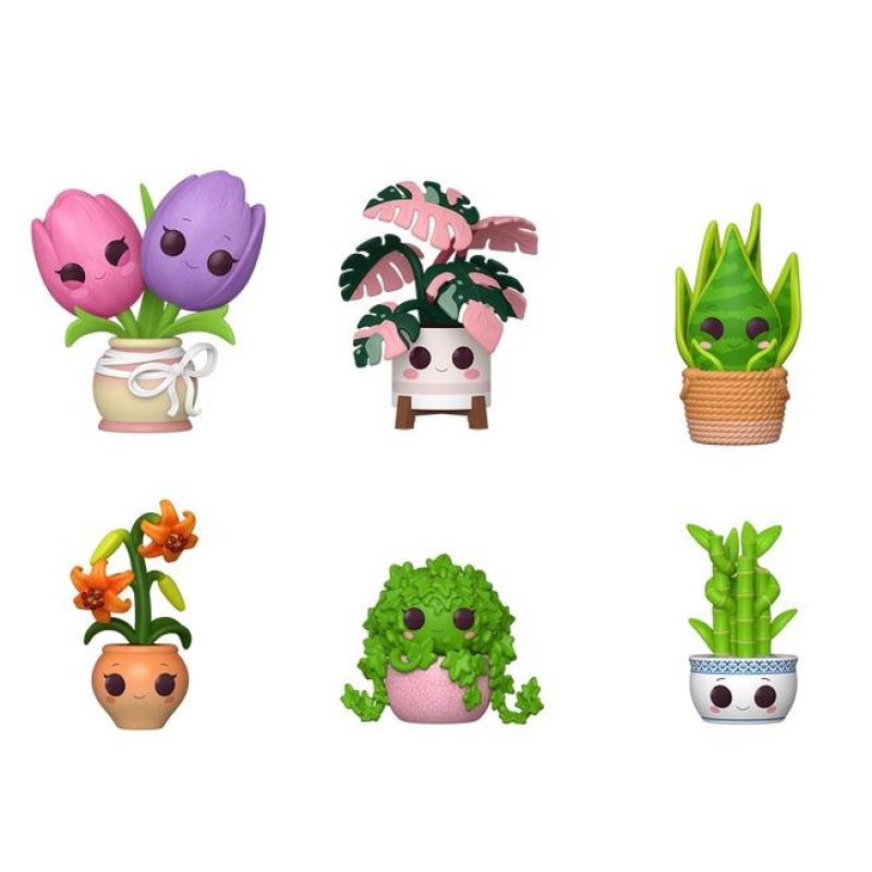 PLANTS - Pop Mystery (6pcs)