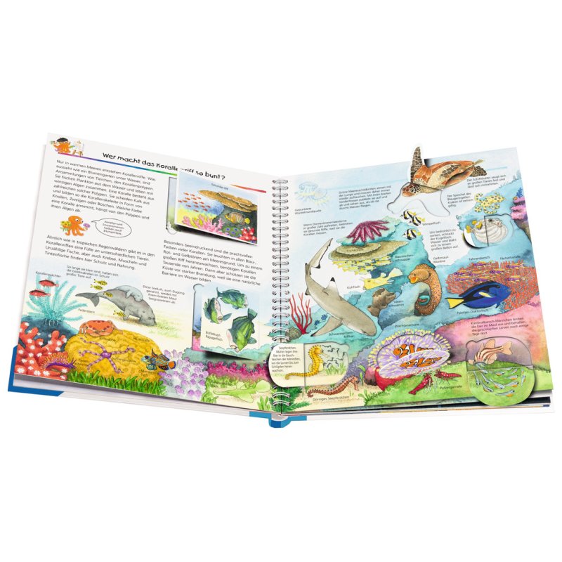 Ravensburger Why? Why? Why? (Vol. 27): Discovering Marine Animals