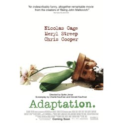 ADAPTATION