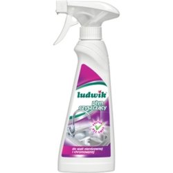 Ludwik Stainless Steel Cleaner 250ml