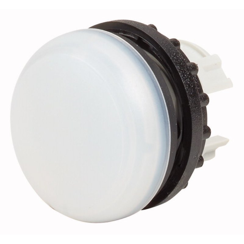 Eaton M22-L-W alarm light indicator 250 V White