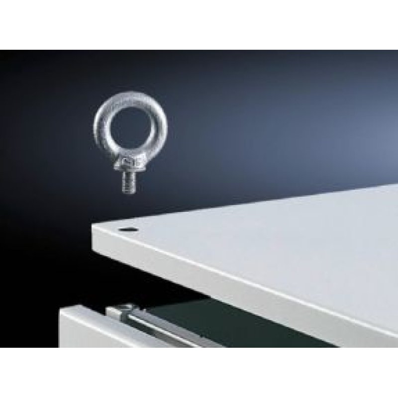 Rittal Transportösen für VX, TS, SE 4 Stück (Speditionsversand)