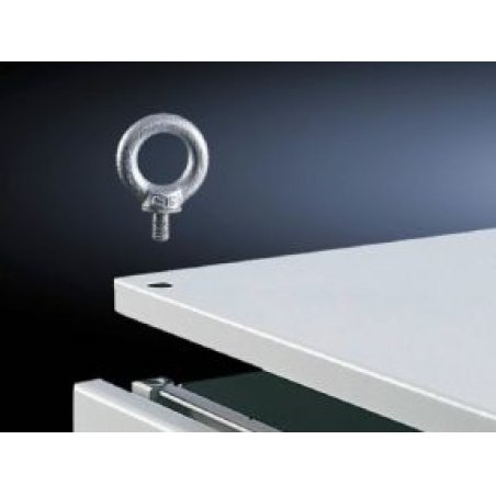 Rittal 4568.000 screw/bolt 4 pc(s) M12