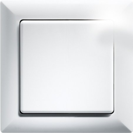 Eltako FT55-wg light switch Plastic White