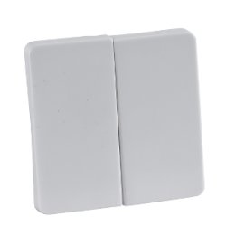 Schneider Electric 213504 accessoire de commutation électrique Clé