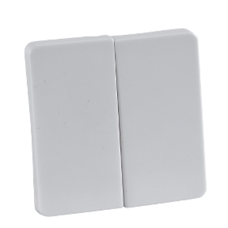 Schneider Electric 213504 accessoire de commutation électrique Clé