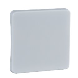 Schneider Electric 213604 accessoire de commutation électrique Clé