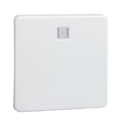 Schneider Electric 213614 accessoire de commutation électrique Clé
