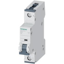 Siemens CIRCUIT BREAKER 10KA 1POL C6