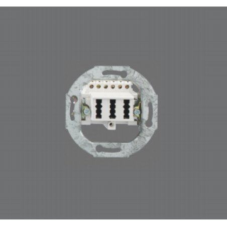 Rutenbeck 10210517 socket-outlet TAE White