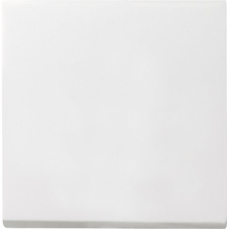 GIRA 029627 accessoire de commutation électrique