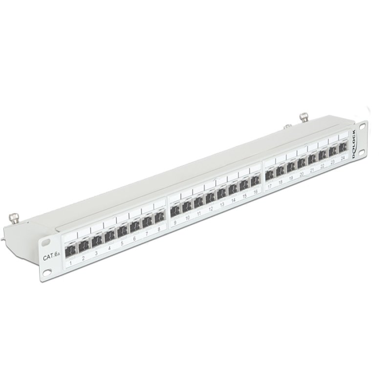 Delock 19? Patchpanel 24 Port Cat.6A grau