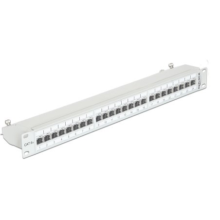 Delock 19? Patchpanel 24 Port Cat.6A grau