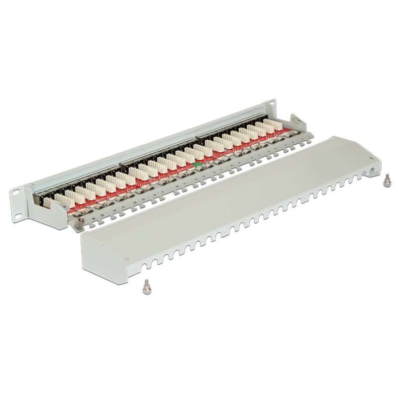 Delock 19? Patchpanel 24 Port Cat.6A grau