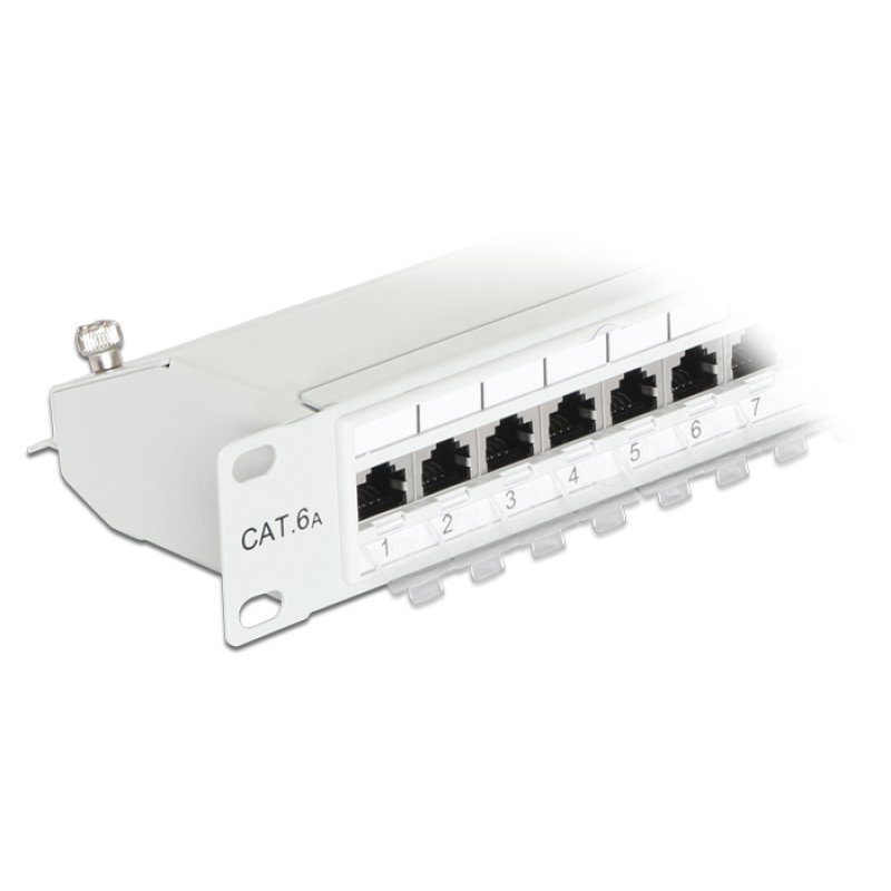 Delock 19? Patchpanel 24 Port Cat.6A grau