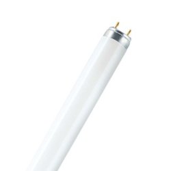 Osram LUMILUX T8 fluorescent bulb 58 W G13 Cool white