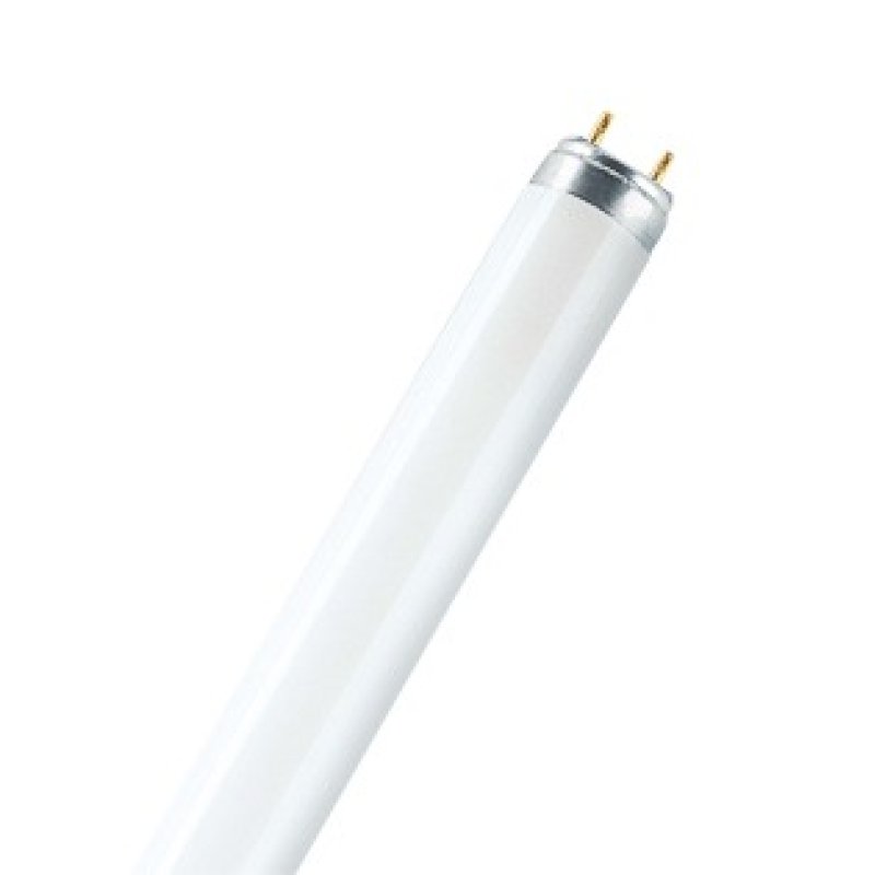 Osram LUMILUX T8 fluorescent bulb 58 W G13 Cool white