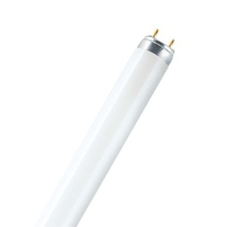 Osram LUMILUX T8 fluorescent bulb 58 W G13 Cool white