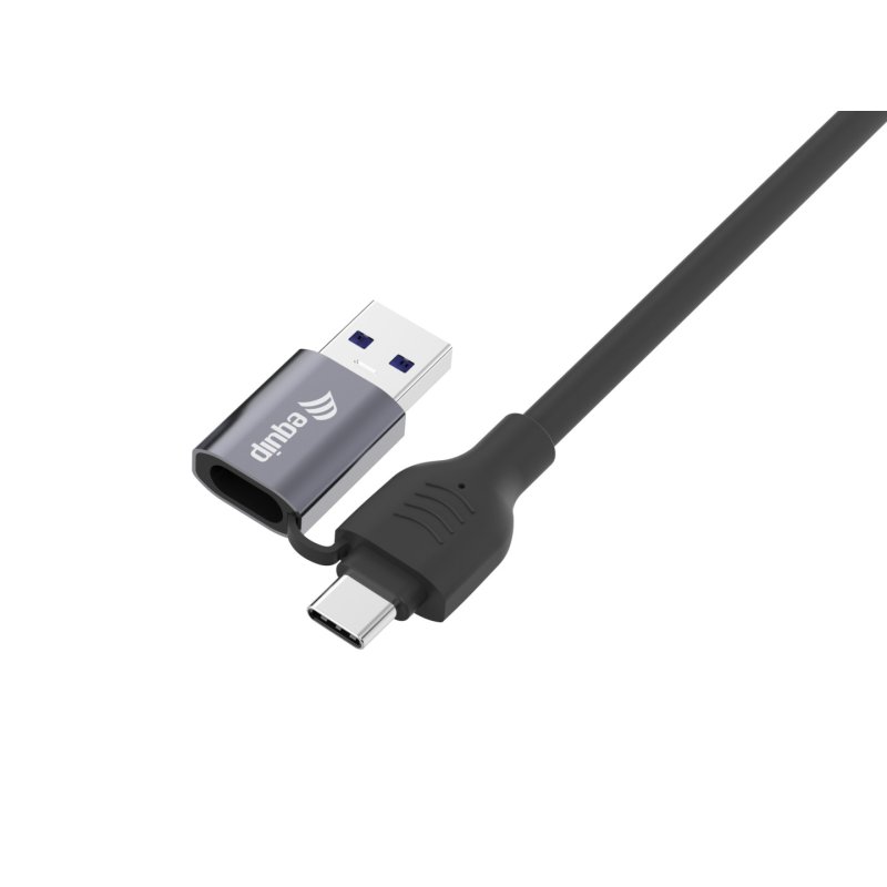 Equip 2 in 1 USB-C A to RJ45 Gigabit Ethernet Cable, 1.0m