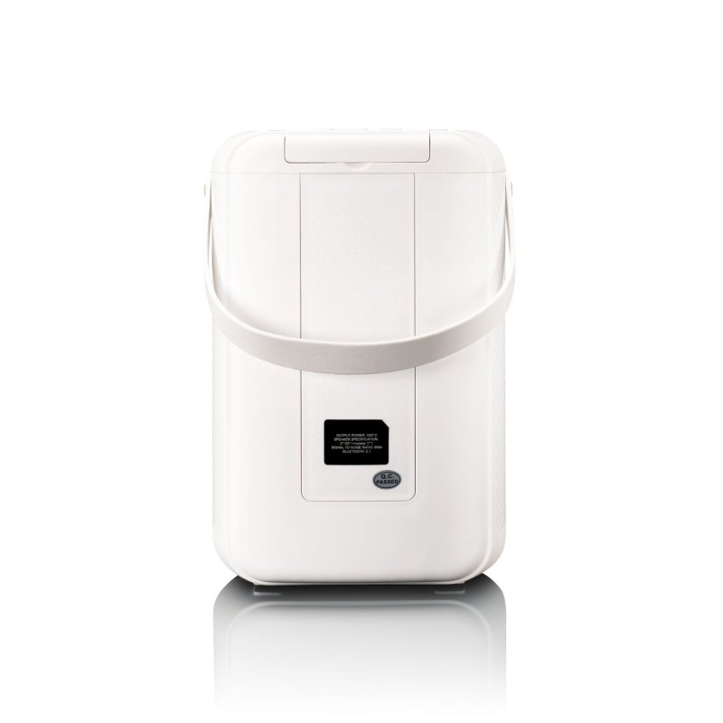 Enceinte Bluetooth Karaoké BTC-060WH