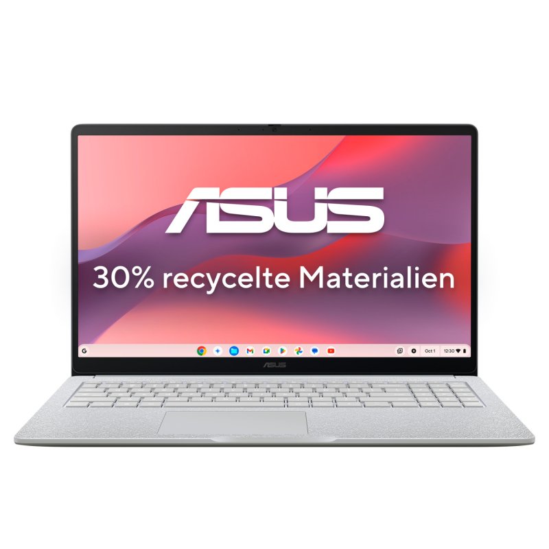 Chromebook CM15 (CM1505CM4A-S70031) (grau, MediaTek Kompanio 540, Mali-G57 MC2, 4 GB LPDDR5X, 128 GB (128 GB eMMC),