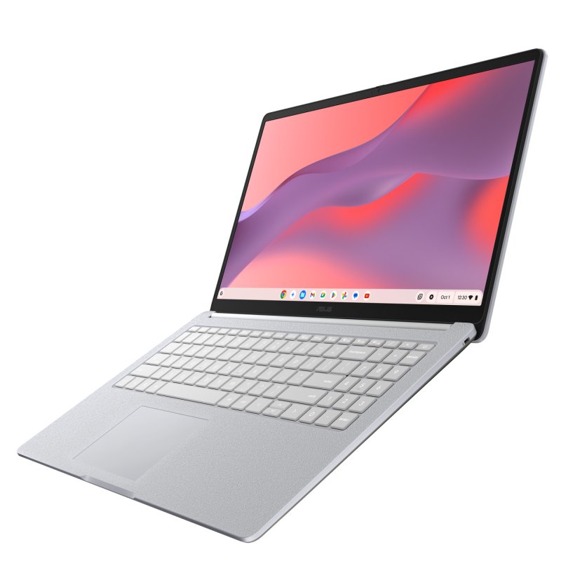 Chromebook CM15 (CM1505CM4A-S70031) (grau, MediaTek Kompanio 540, Mali-G57 MC2, 4 GB LPDDR5X, 128 GB (128 GB eMMC),