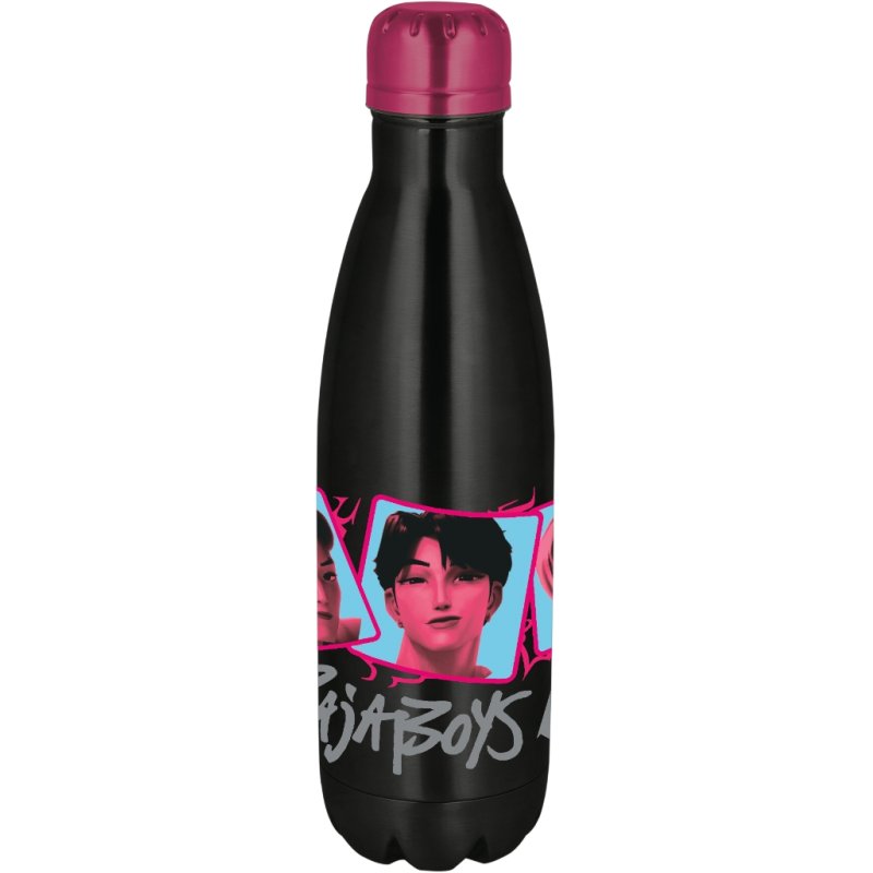 BOUTEILLE EN ACIER KPOP DH 780ML
