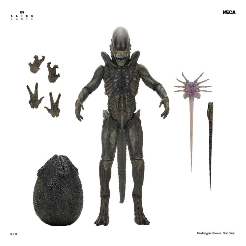 Alien: Earth Ultimate Action Figure Xenomorph 18 cm