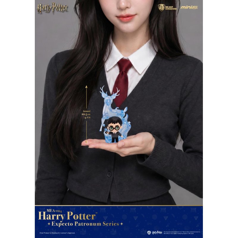 HARRY POTTER - Expecto Patronum - Blind Box Set 6 Figurine 11cm