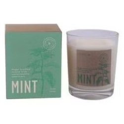 Cerabella Mint Scented Candle in Glass 7.5x9cm - 1 Unit