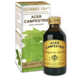 Dr. Giorgini Ser-vis Gemmo 10 Field Maple Alcohol-Free Liquid 100ml
