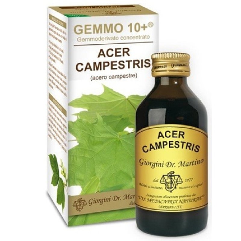 Dr. Giorgini Ser-vis Gemmo 10 Field Maple Alcohol-Free Liquid 100ml