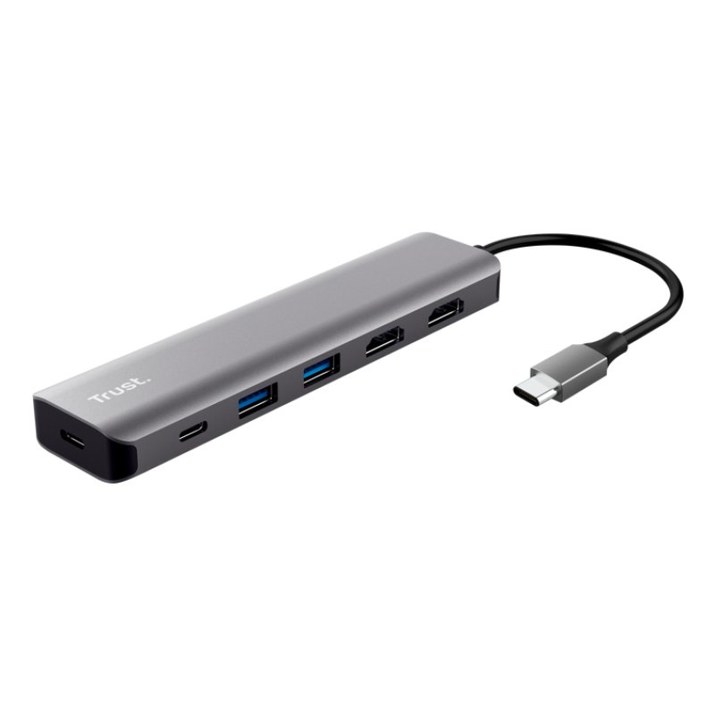 Trust Dalyx Wired USB 3.2 Gen 1 (3.1 Gen 1) Type-C Grey