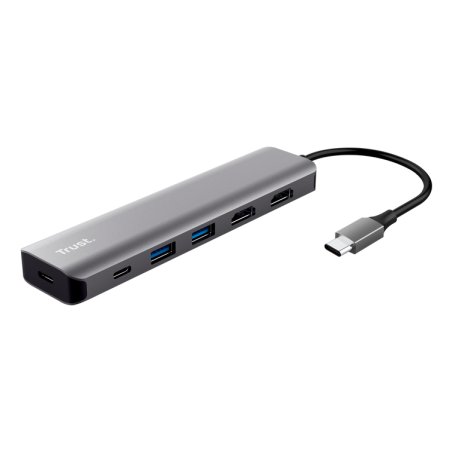 Trust Dalyx Avec fil USB 3.2 Gen 1 (3.1 Gen 1) Type-C Gris