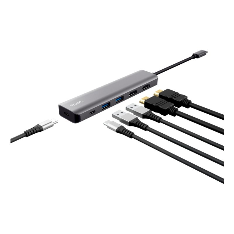 Trust Dalyx Wired USB 3.2 Gen 1 (3.1 Gen 1) Type-C Grey