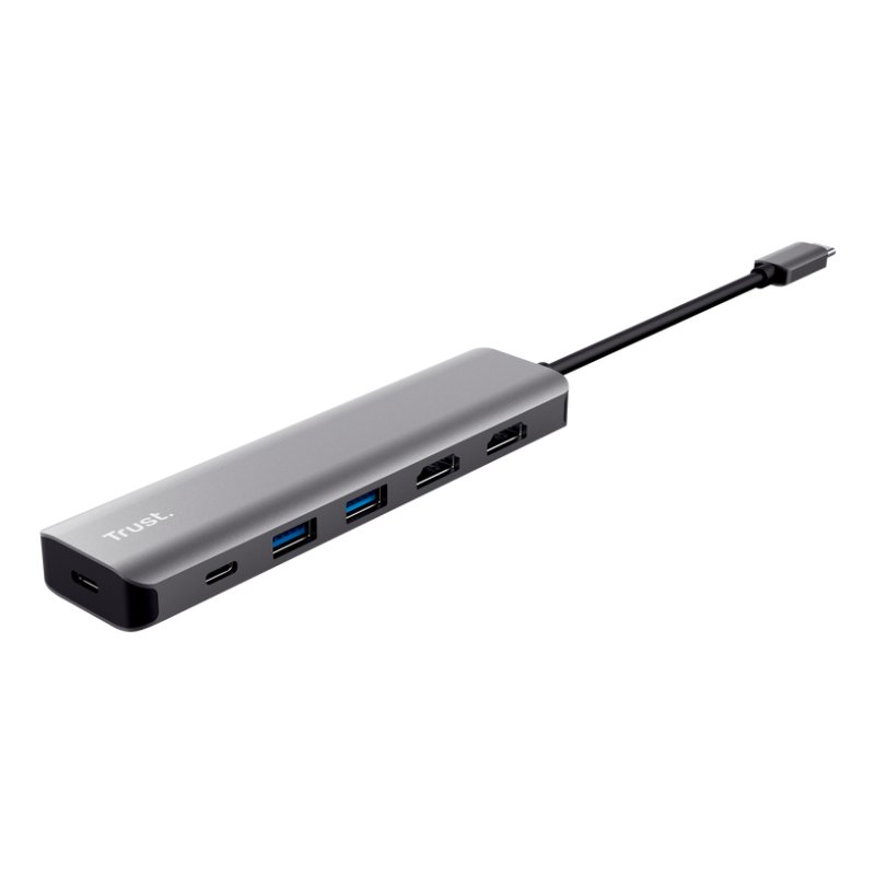 Trust Dalyx Wired USB 3.2 Gen 1 (3.1 Gen 1) Type-C Grey
