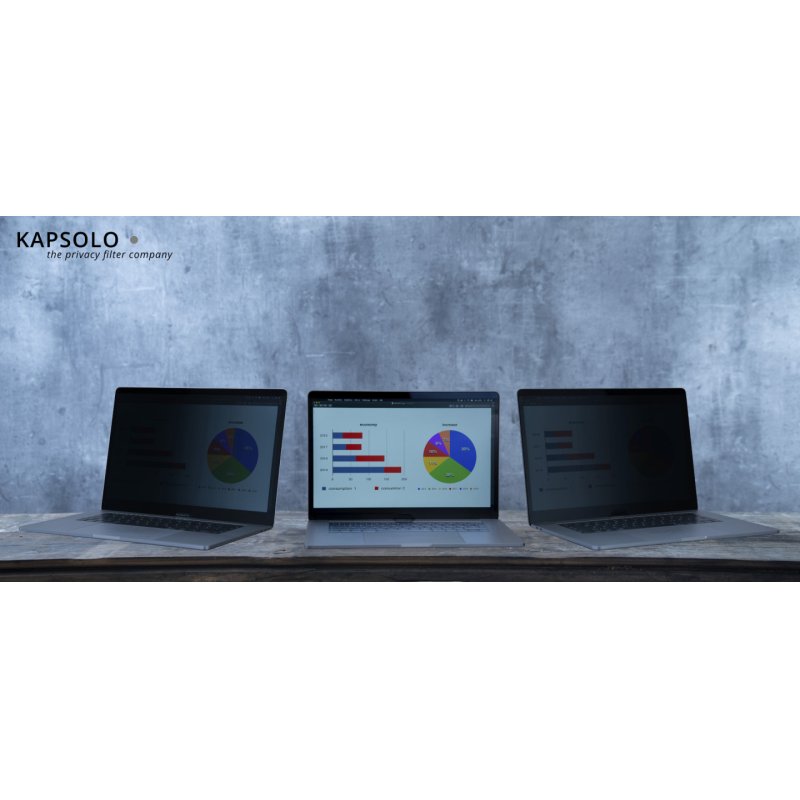 KAPSOLO 2-Wege Plug In Blickschutzfilter fr 35,56cm (14,0") Wide 16:9