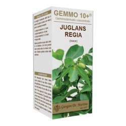 Dr. Giorgini G10 Walnut Non-Alcoholic Liquid Supplement 100ml