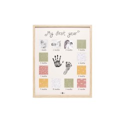 Petit artichaut - My First Year
