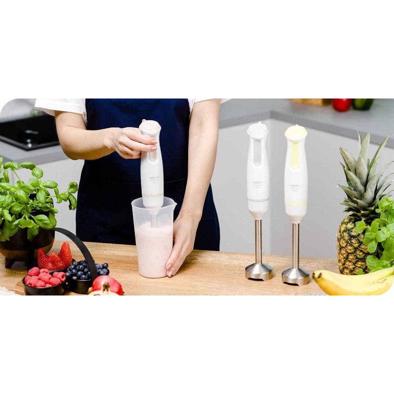 Blender ręczny PULSAR 800W SYMBIO ZELMER ZHB4561S