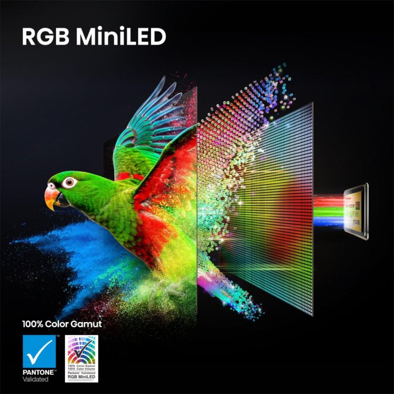 55UR8DS RGB MiniLED (null cm (null Zoll))