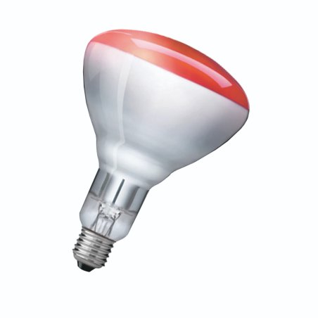 Philips 60800122350 incandescent bulb 250 W